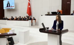 CHP Milletvekili Gamze Akkuş İlgezdi, Diş Hekimleri İle İlgili Sağlık Torba Teklifini Eleştirdi