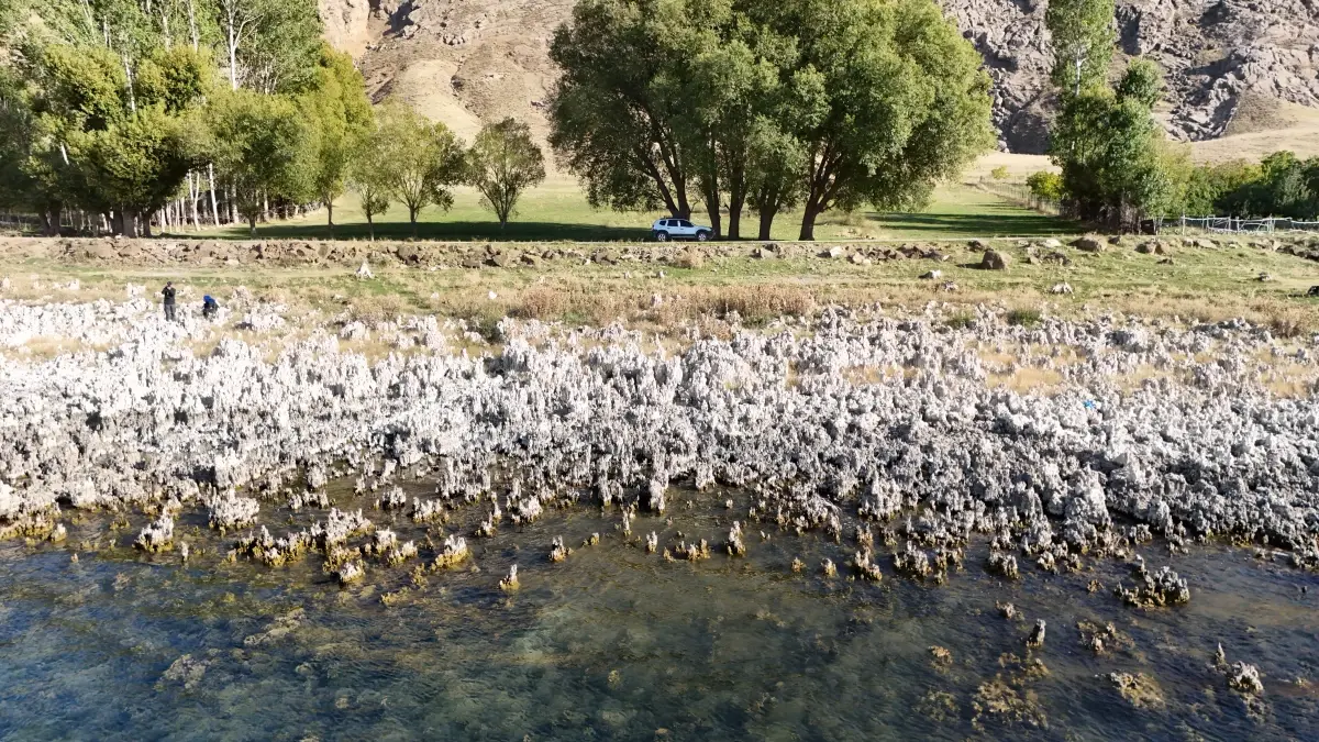 Van Gölü’nde Mikrobiyalit Tarlaları