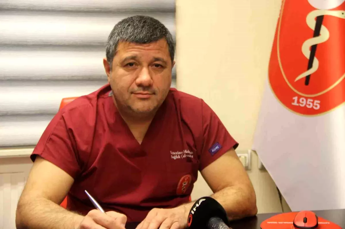 Kış Aylarında Haşere Mücadelesi Önemli