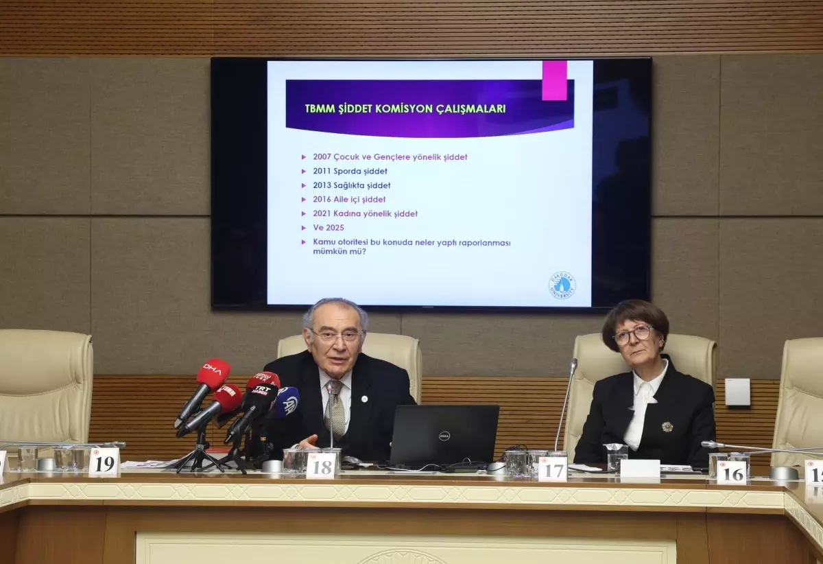 Türkiye’de Kadına Yönelik Şiddet Raporu: Psikolojik Şiddet Oranı Yüksek