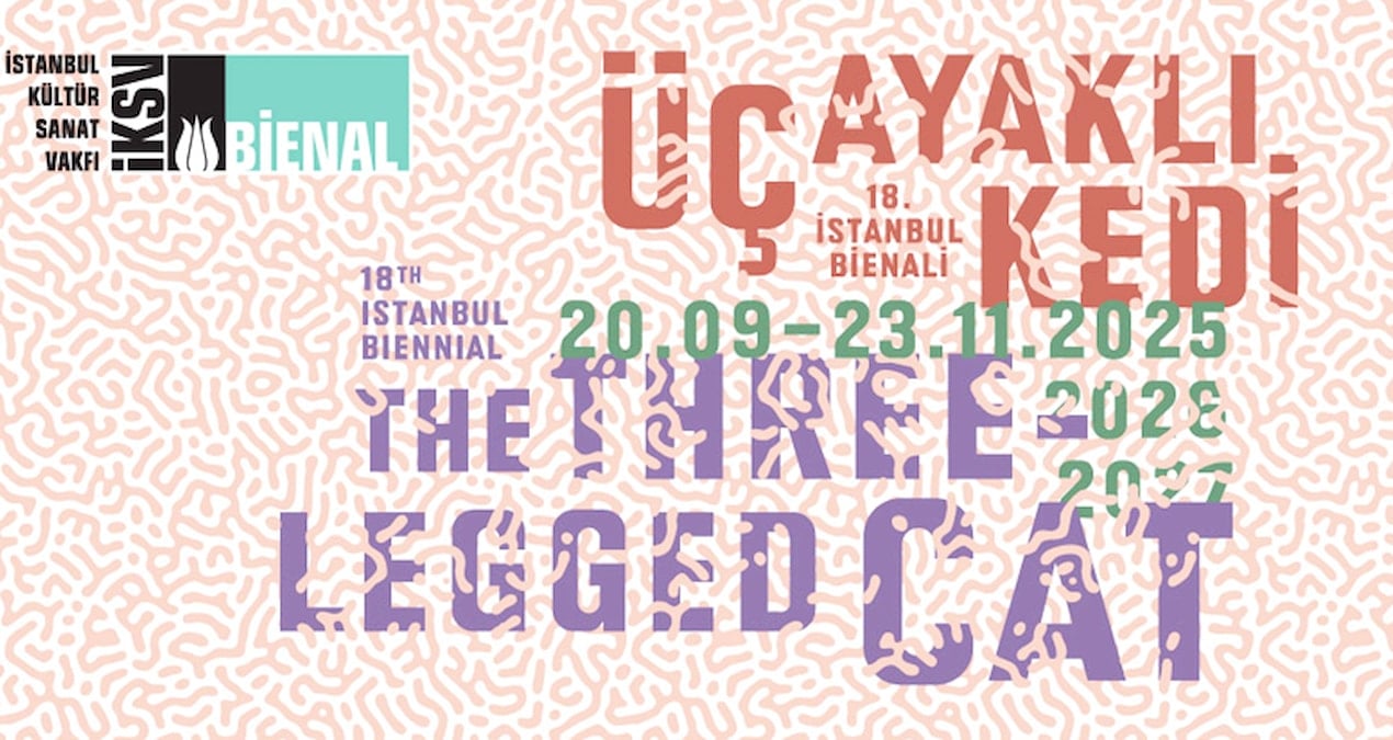Üç ayaklı kedi
