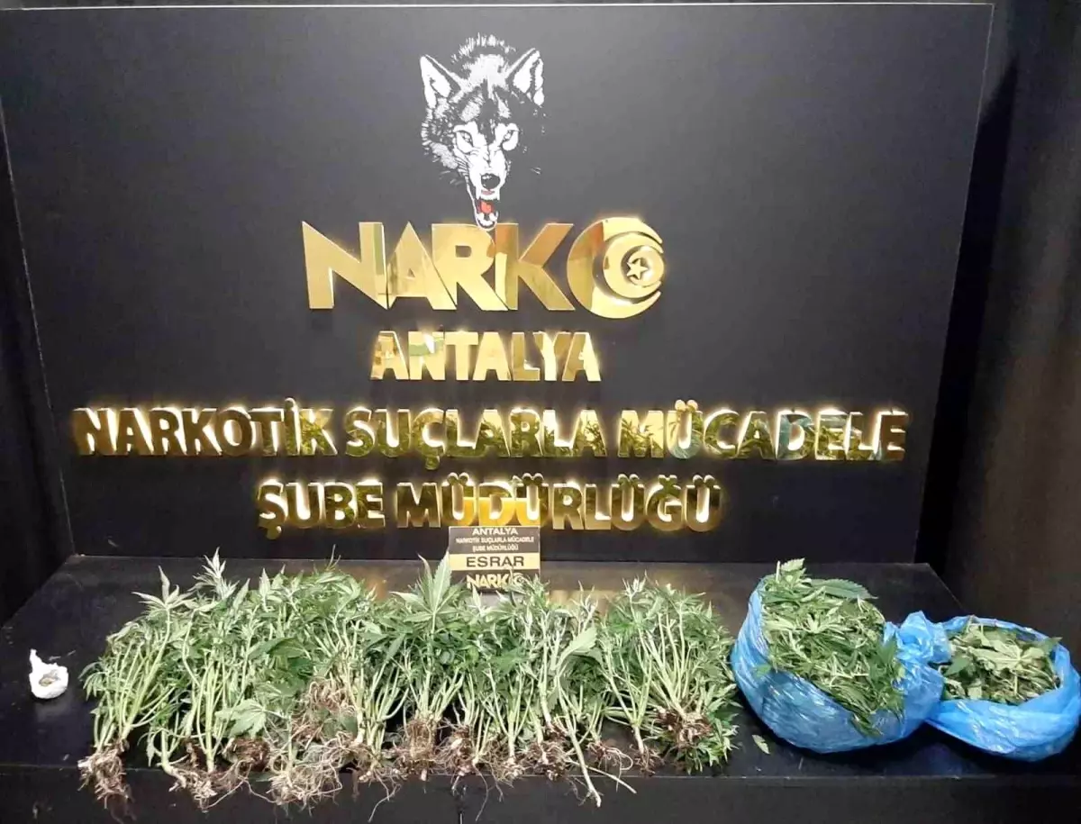 Antalya’da Narkotik Operasyonu: 11 Tutuklama